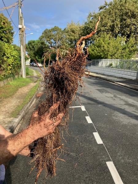 Notre zone d'activité pour ce service Solution pour déboucher un lavabo de salle de bain à Bordeaux 33